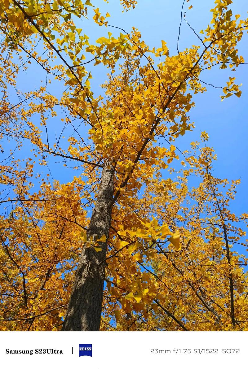 什么手机的像素最好拍照最好看