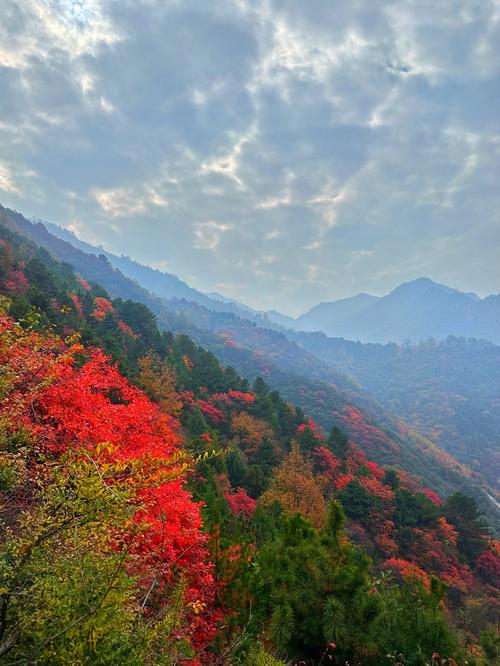 900以下好看又便宜的手机。