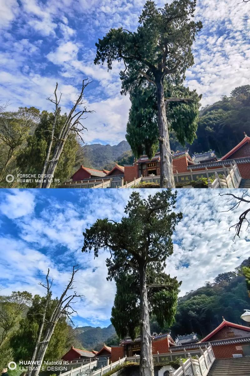 华为哪款手机拍照最好?