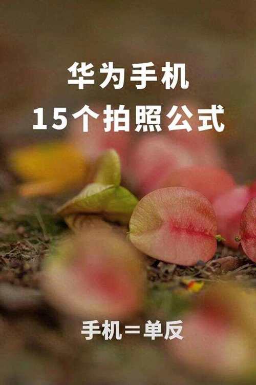 华为手机哪款拍照好