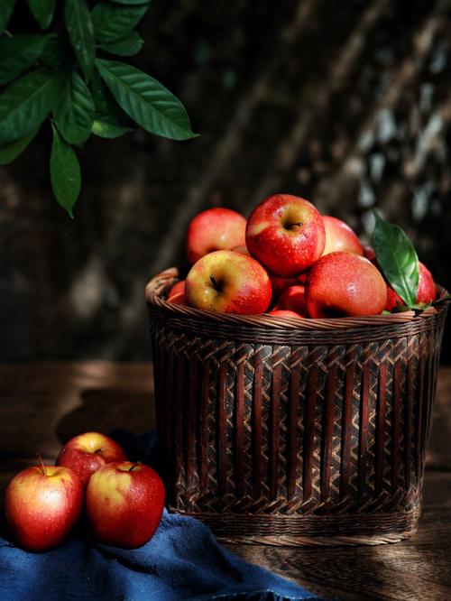 苹果公认拍照最好的手机