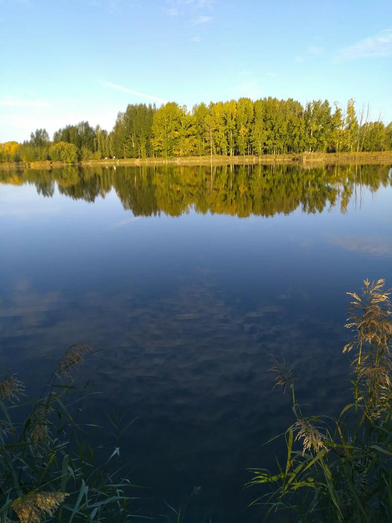 什么手机拍照效果最好