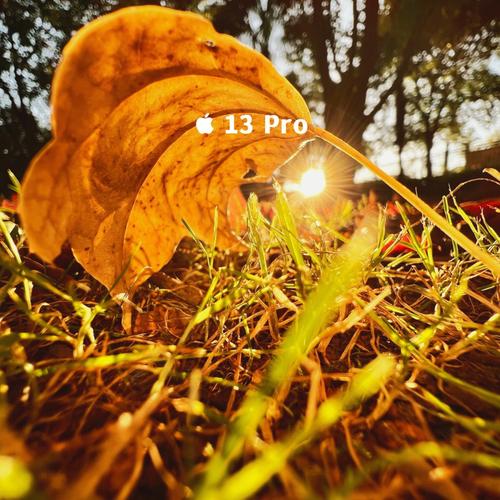 苹果13怎么拍照好看又清晰