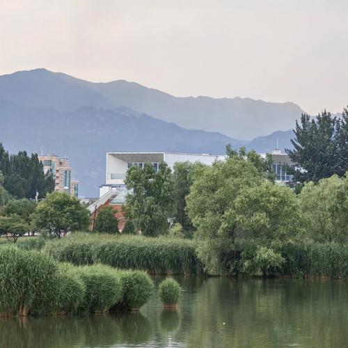 哪个品牌的手机拍照最清晰