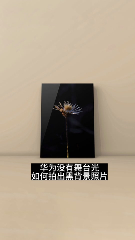 拍舞台手机相机怎么设置