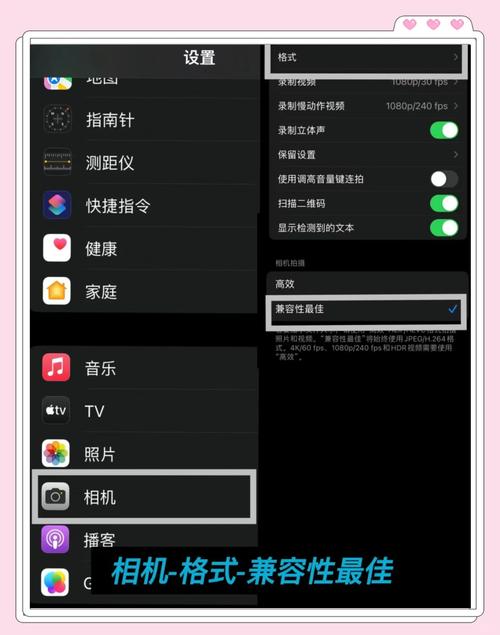 苹果手机专业相机软件苹果手机用哪个软件拍照效果最好