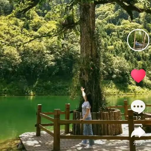 马克水印相机拍的照片不进入相册