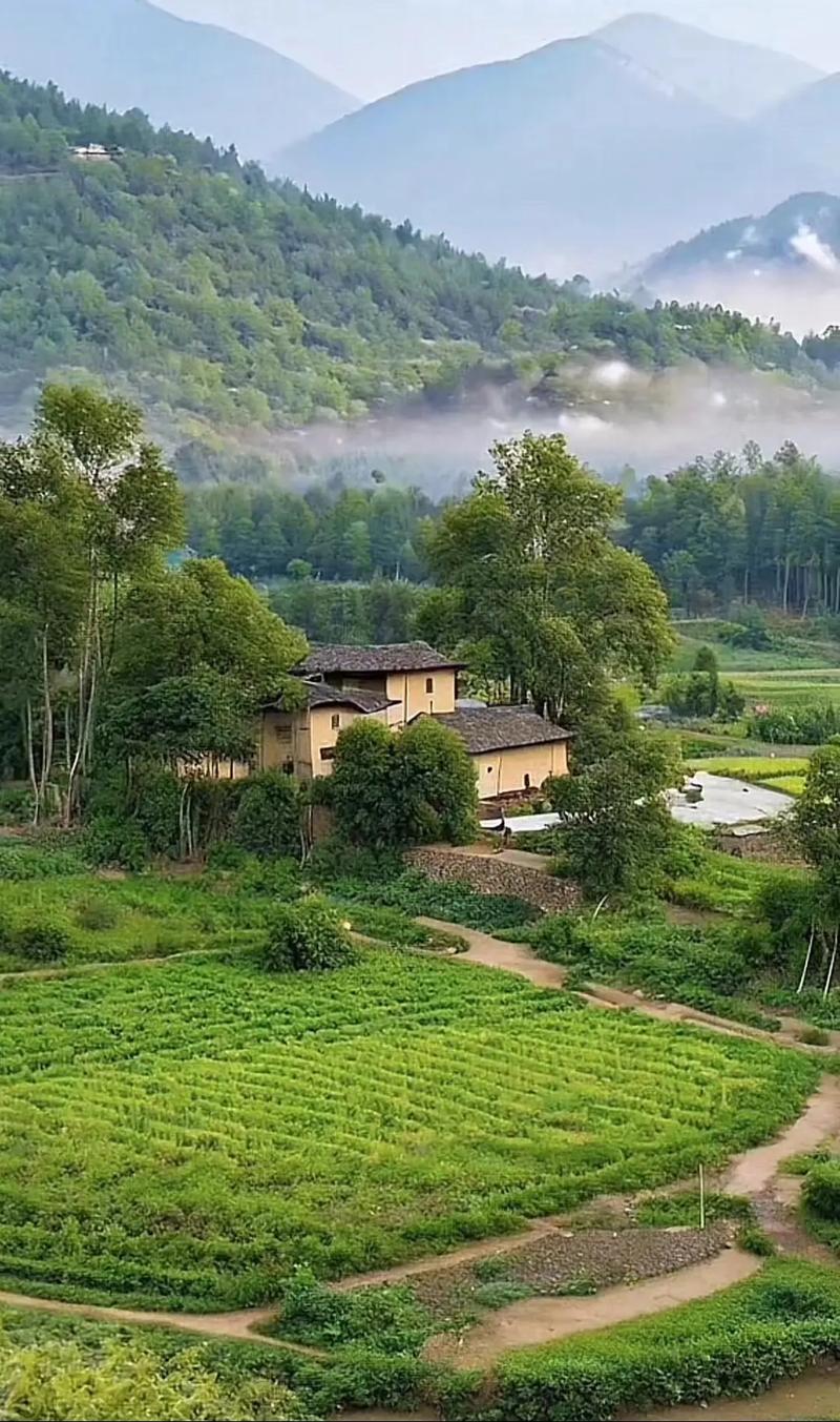 可以分享一些乡村自然美景的图片吗