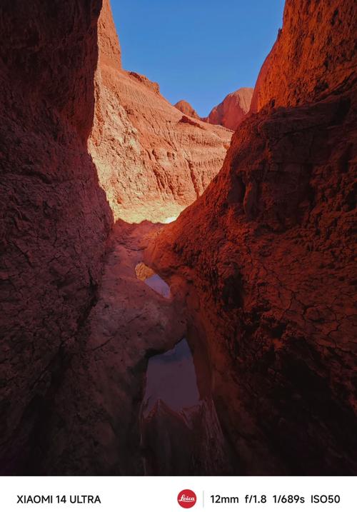 拍照手机哪个品牌好一点