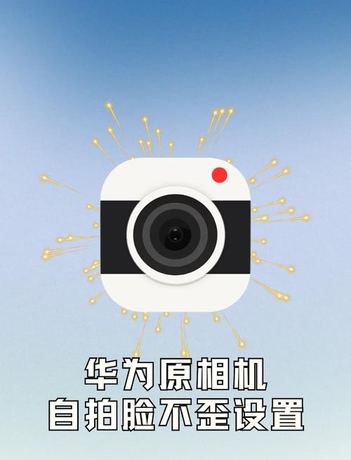 手机桌面照相机没有了怎么办