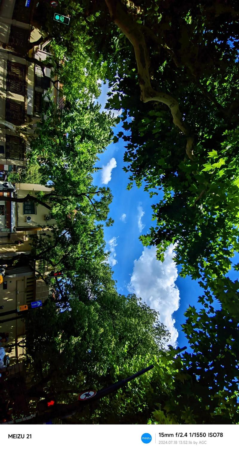 哪个牌子的手机拍照效果好