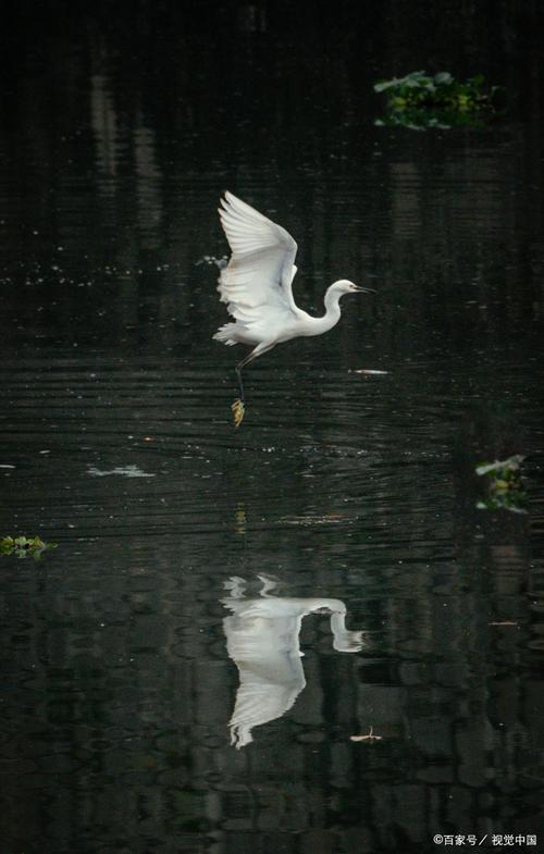 目前最强拍照手机