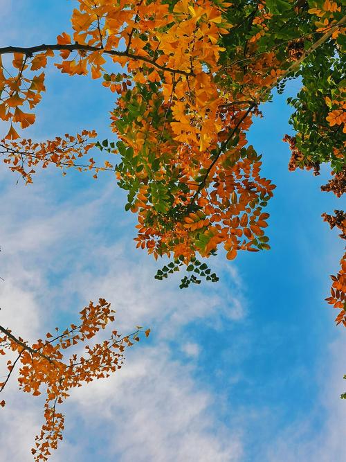 一千多的手机拍照最好的