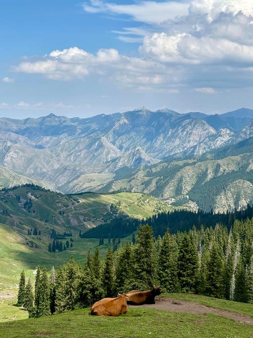 手机拍风景照使用标准还是鲜明效果好?