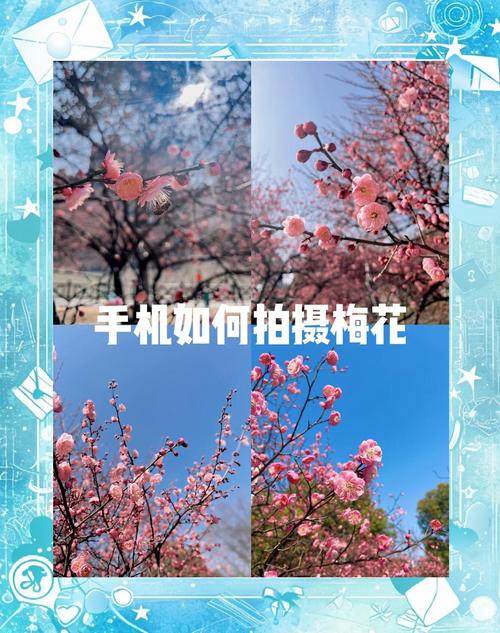 怎么用苹果手机拍摄虚化背景苹果手机拍照景色技巧教程