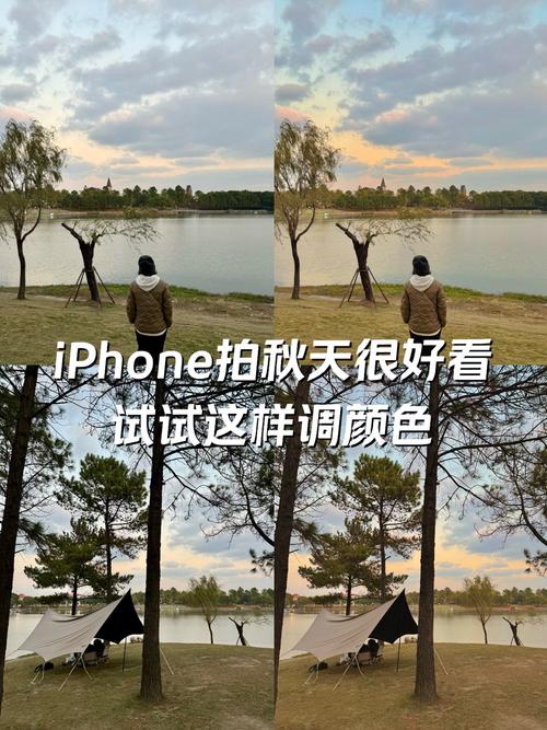 苹果手机拍照技巧和方法视频