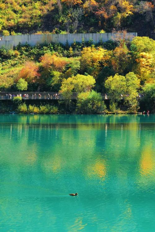 什么品牌手机拍照最好看最清晰