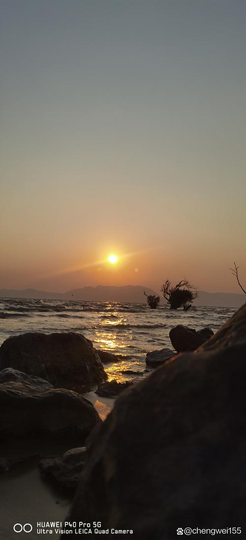 目前拍照最好的手机是哪一款