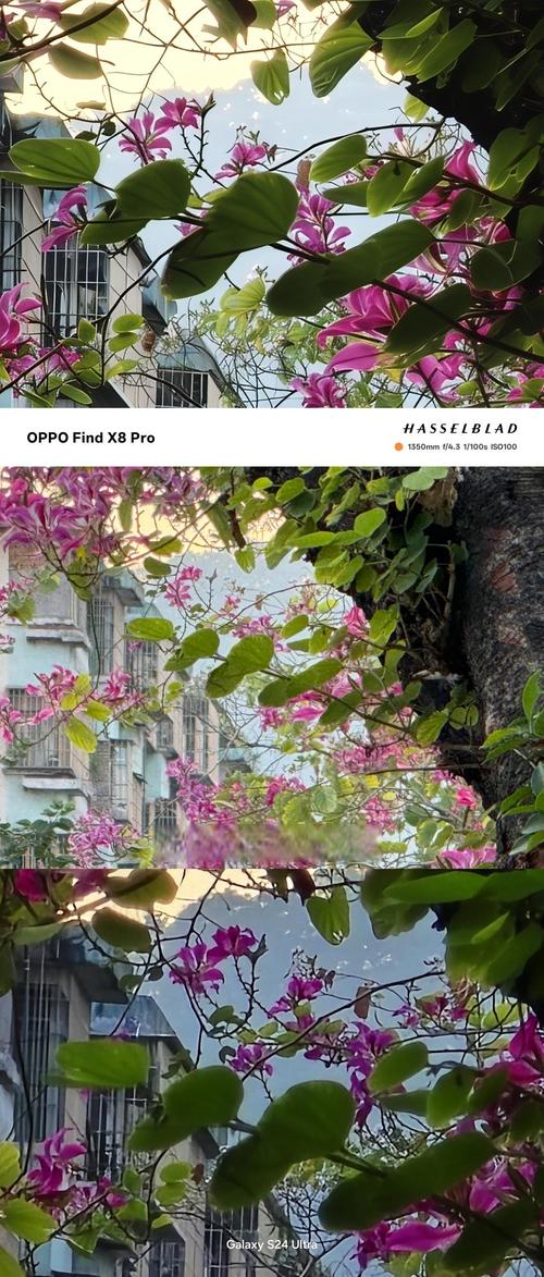 国产手机拍照最好是哪一款