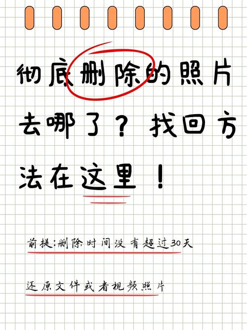 手机相片被永久删了怎么找回来