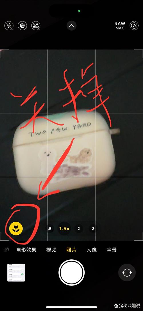 如何用手机拍摄花朵视频