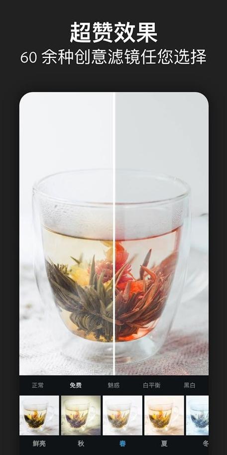 苹果苹果手机ps软件哪个好