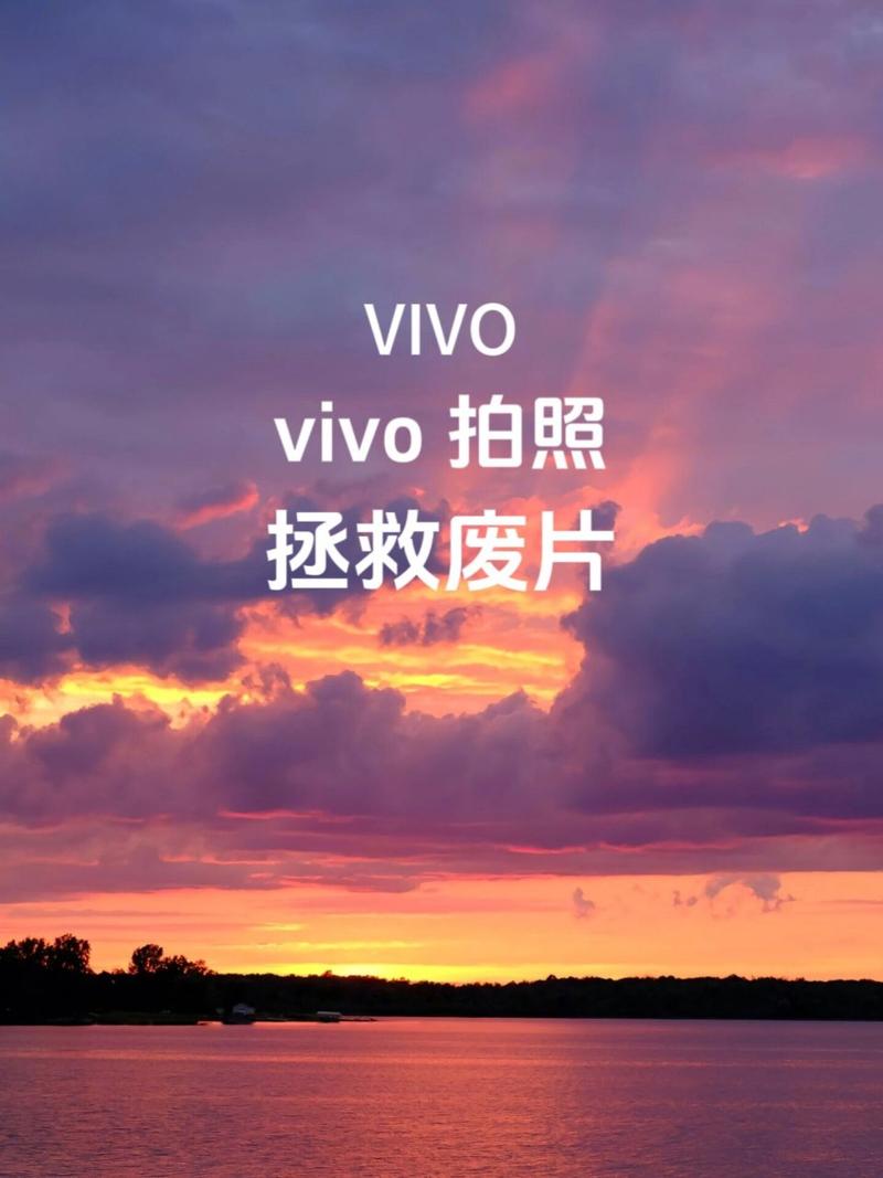 vivo手机桌面的相机不见了怎么办