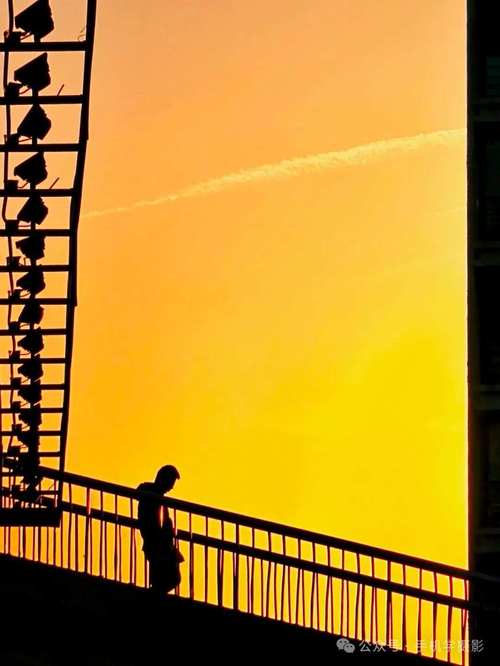 目前什么手机拍照效果最好