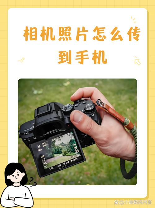 ccd导入手机后不见照片