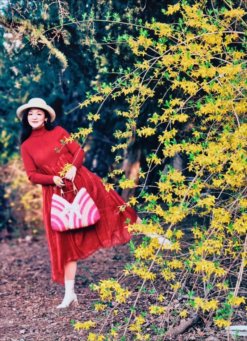 买什么手机拍照好看又清晰