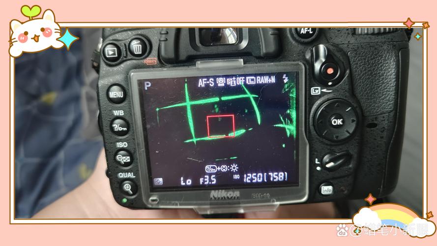 显示屏是什么？