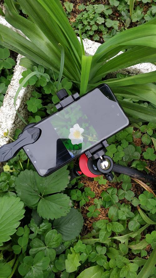 手机附加镜头推荐