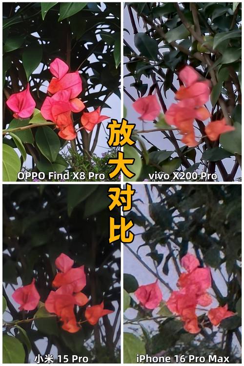 最新最强手机拍照排行榜