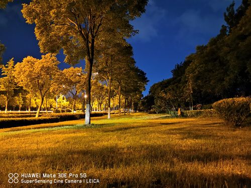 华为公认拍照最好的三款