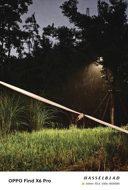 2024拍照最好的5款手机,堪比“单反”轻松拍出大片