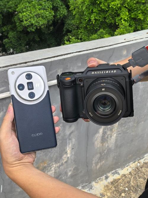 1000左右手机哪个好