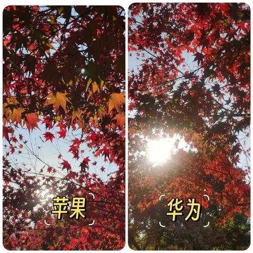 华为手机和苹果手机哪个好