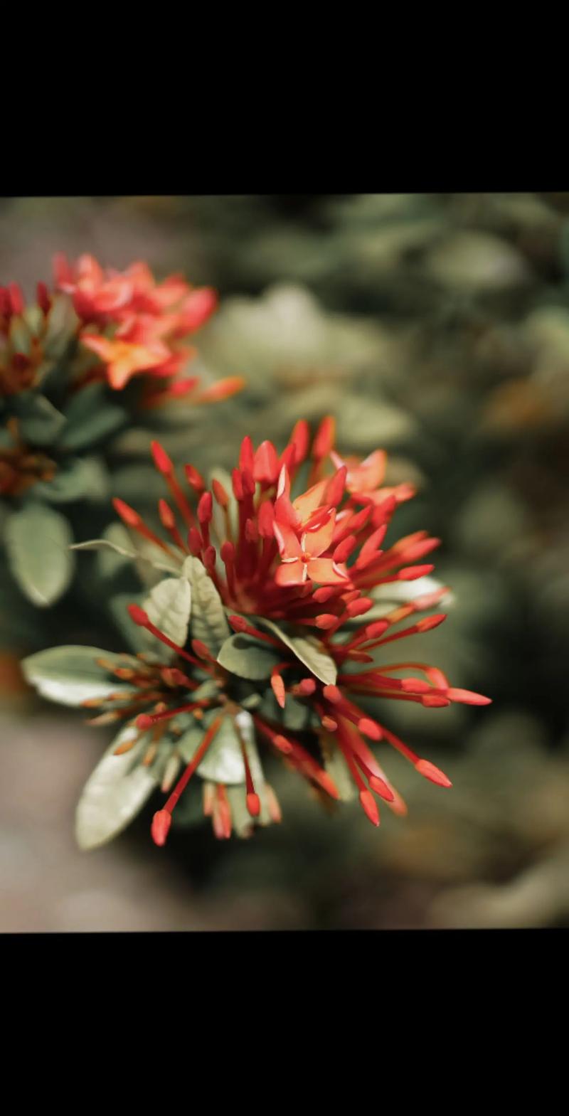 3000档拍照最强手机