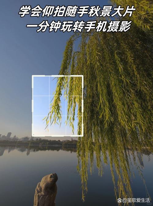 7种构图法带你玩转手机拍照