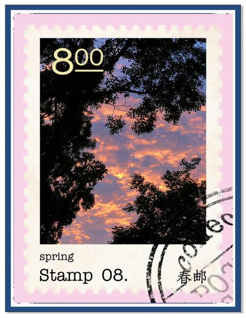 华为手机逆光拍摄技巧