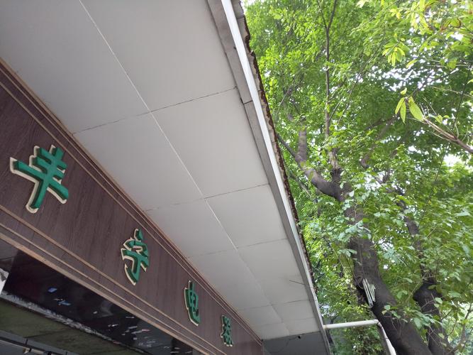 魅族pro6拍照怎么样