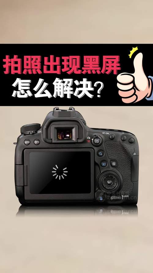 苹果16照相机黑屏怎么办