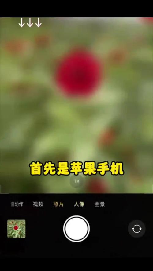 华为手机拍照技巧图解功能