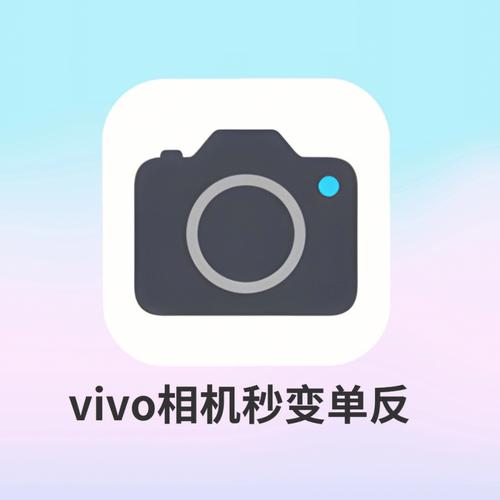 vivo手机相机图标应用商店图标不见了怎么恢复