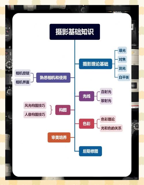 小白入手摄影,应该从哪里学起?