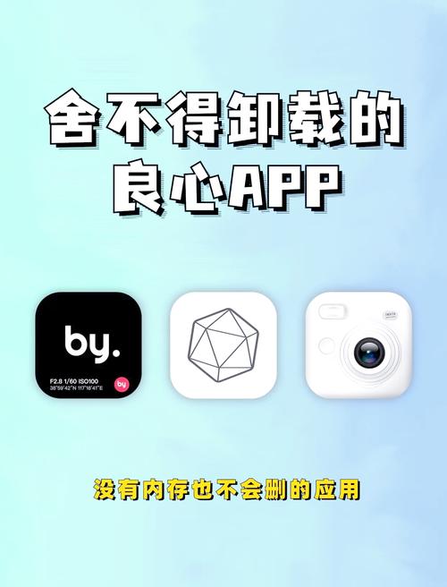 手机拍视频软件图2