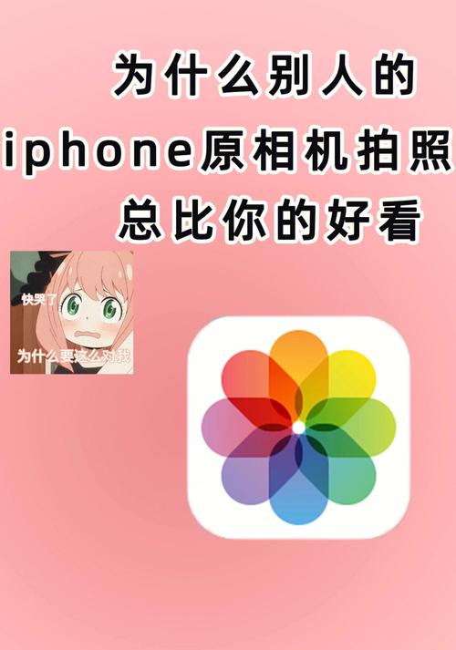 苹果的照相机怎么设置效果好图1