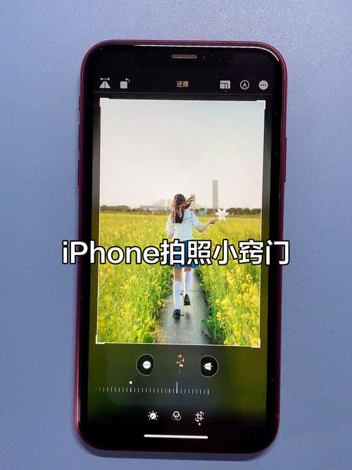 苹果手机照相设置效果最好