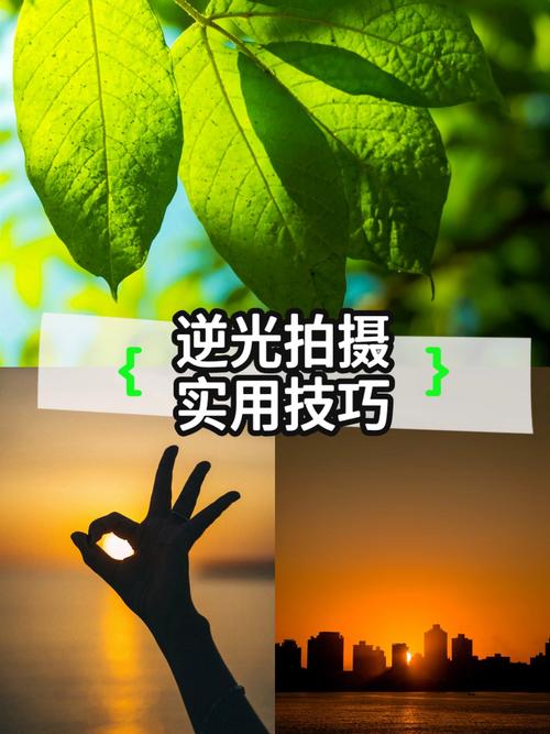 手机逆光拍摄技巧教程图片