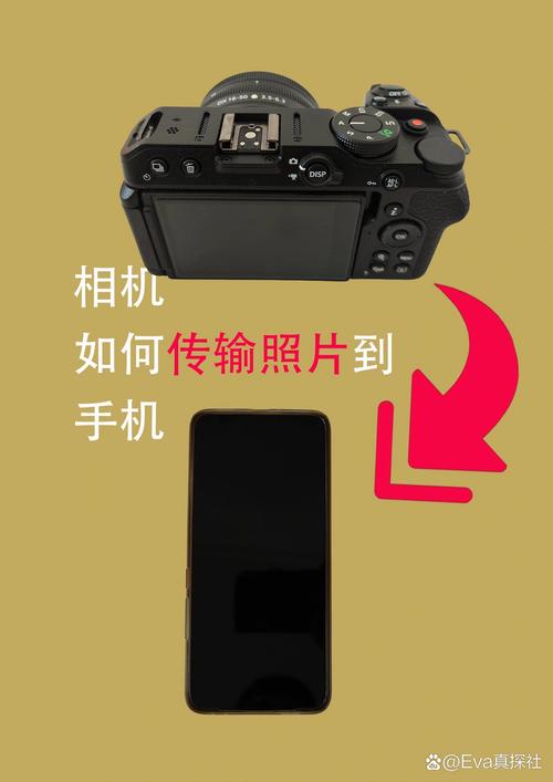 怎样把老照片扫描到手机相册里图2